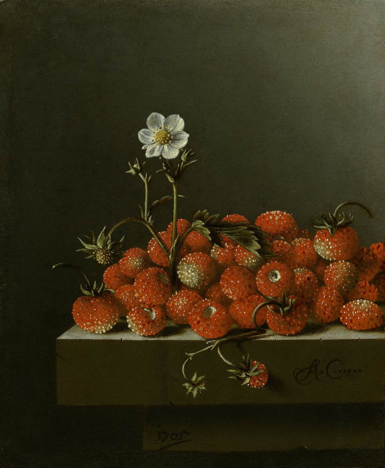 Still-Life with Wild Strawberries by