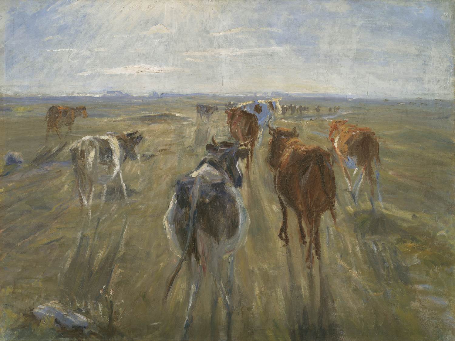 Long Shadows. Cattle on the Island of Saltholm by PHILIPSEN, Theodor Esbern