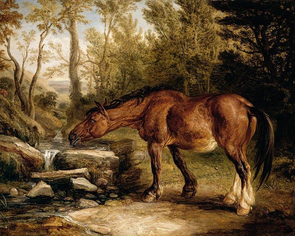 A Horse Drinking at a Stream by