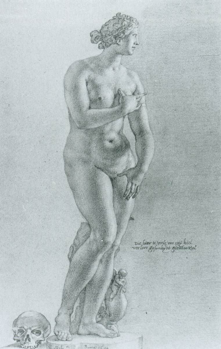 Medici Venus by LINT, Pieter van