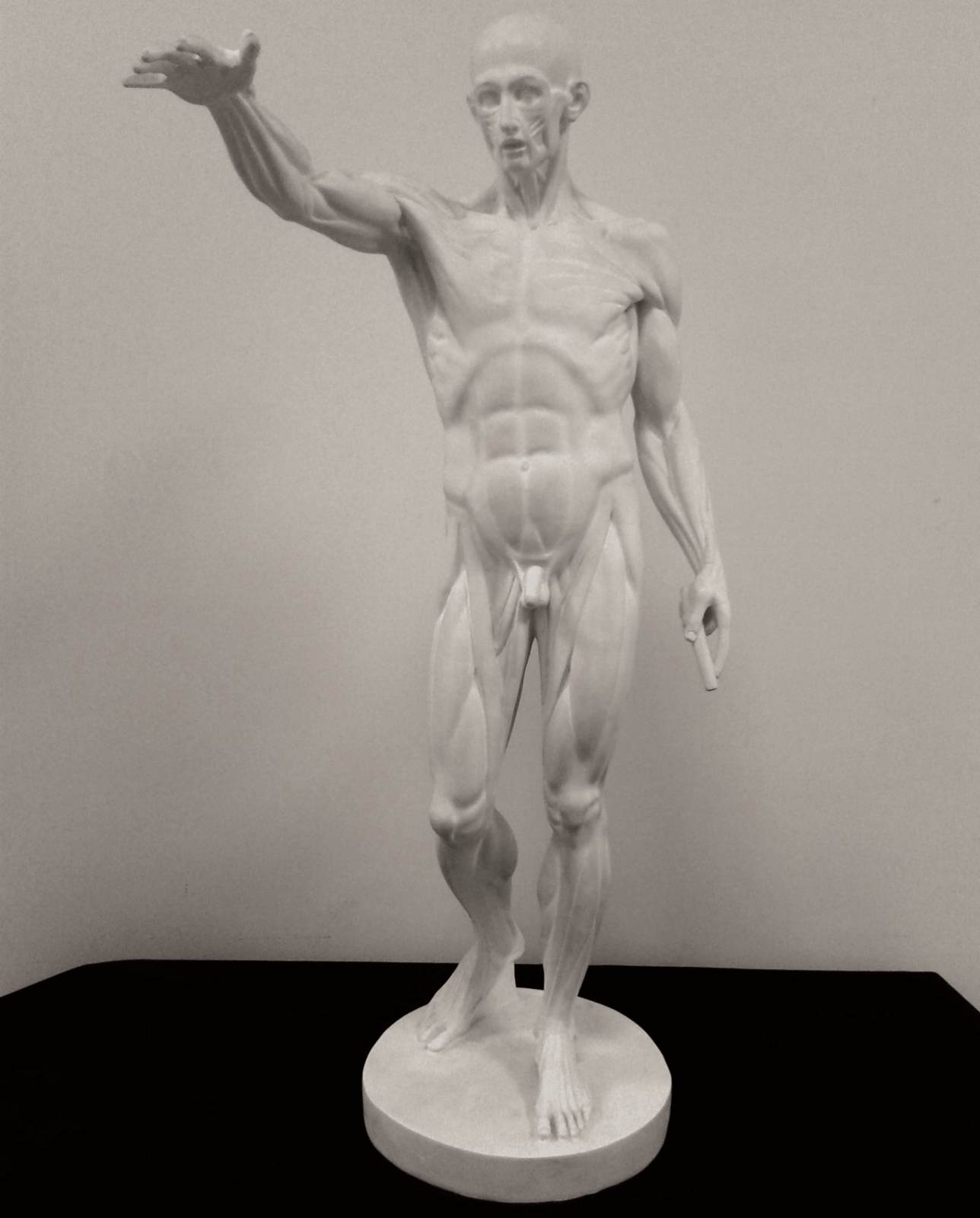 Flayed Man or Ecorché au bras tendu by HOUDON, Jean-Antoine