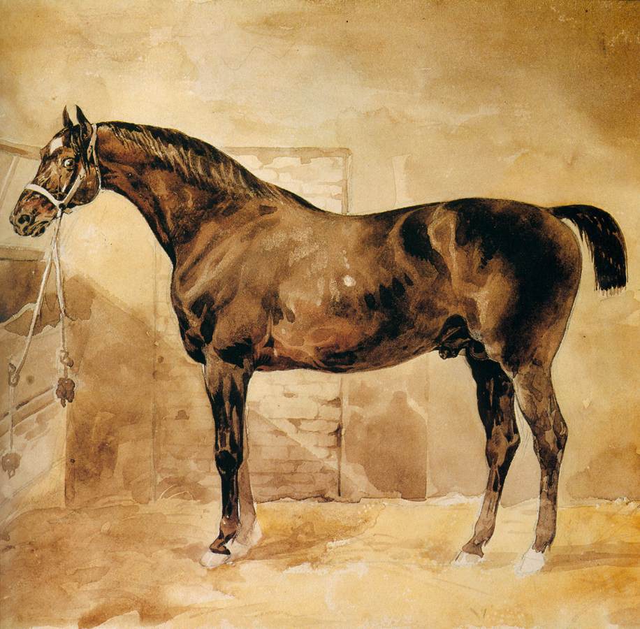 English Horse in Stable by GÉRICAULT, Théodore