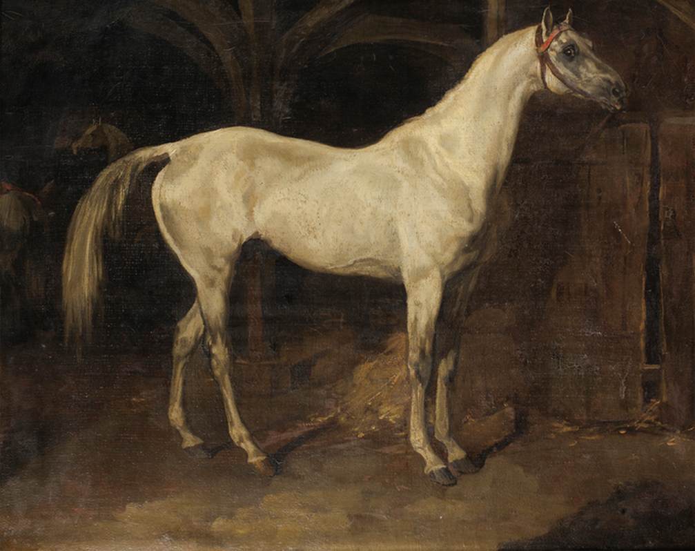 Grey Horse Called L'Aly by GÉRICAULT, Théodore