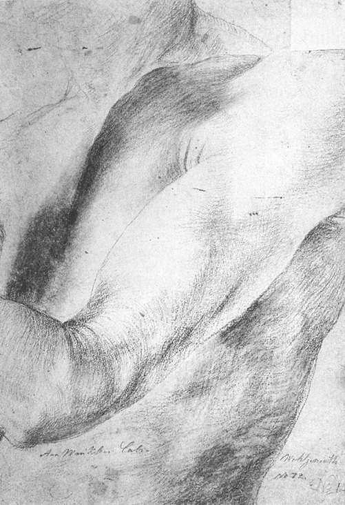 Forearm Study by GRÜNEWALD, Matthias