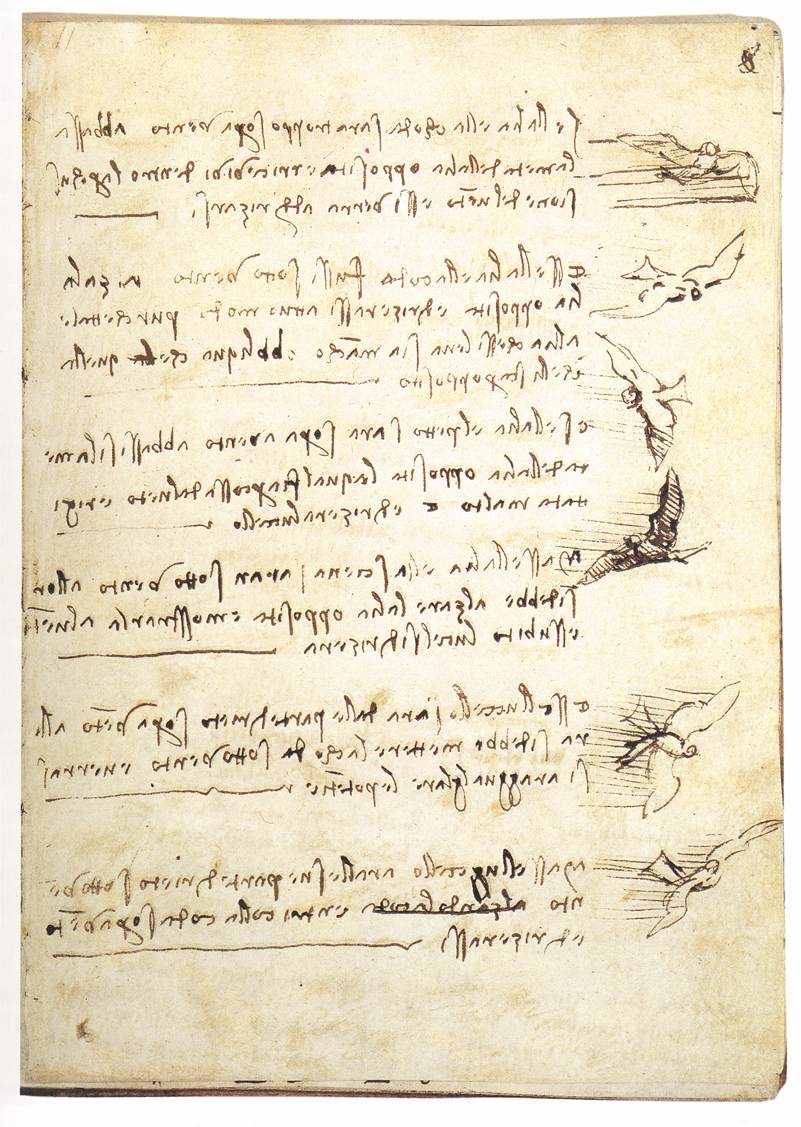 Codex on the flight of birds by LEONARDO da Vinci