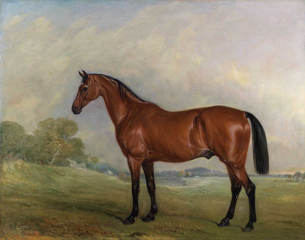 A Favourite Bay Hunter by FERNELEY, John