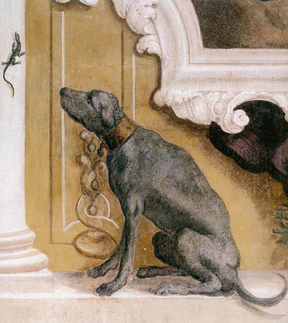 Dog Observing a Lizard by LAZZARINI, Gregorio