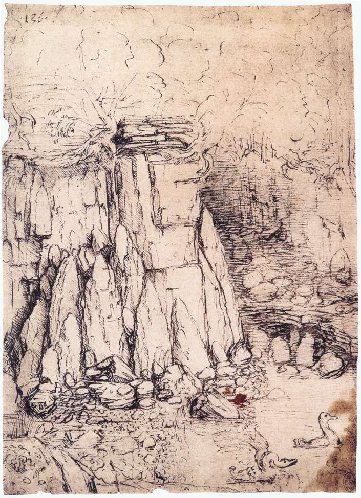 Cavern with ducks by LEONARDO da Vinci