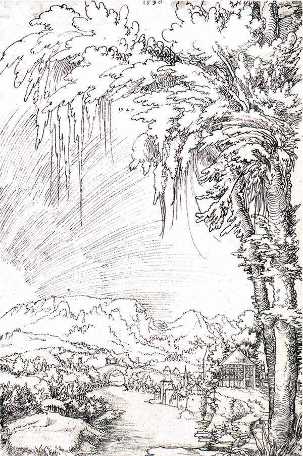 Landscape near Feldkirch by HUBER, Wolf