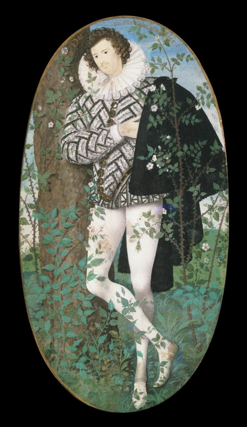 Young Man among Roses by HILLIARD, Nicholas