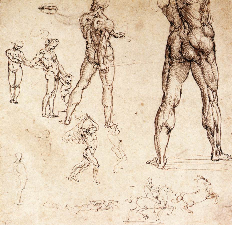 Anatomical studies by LEONARDO da Vinci