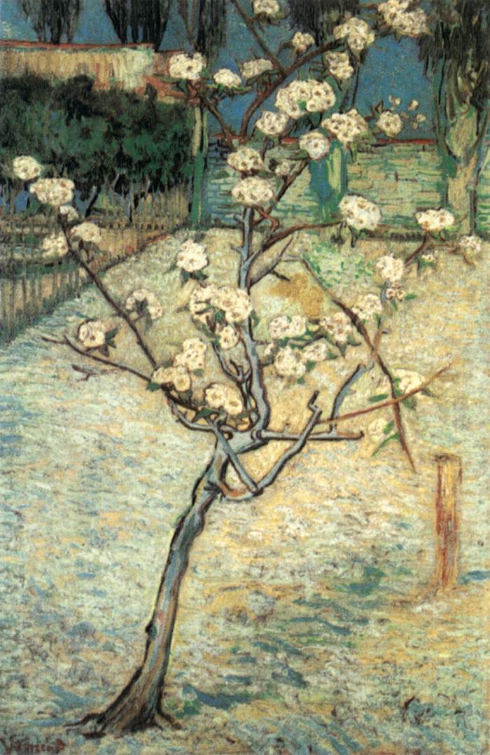 Blossoming Pear Tree by GOGH, Vincent van