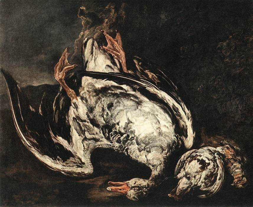 Still-Life with Dead Wild-Duck by BOEL, Pieter