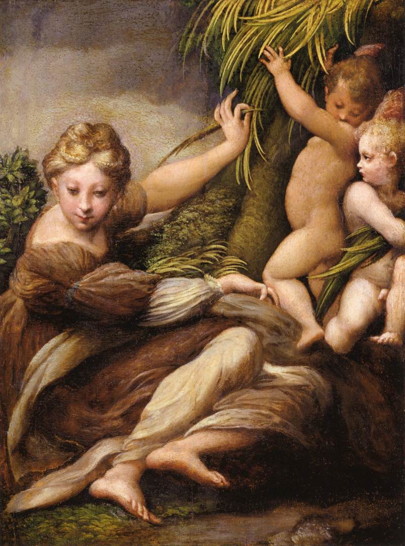 Virgin and Child with an Angel by PARMIGIANINO