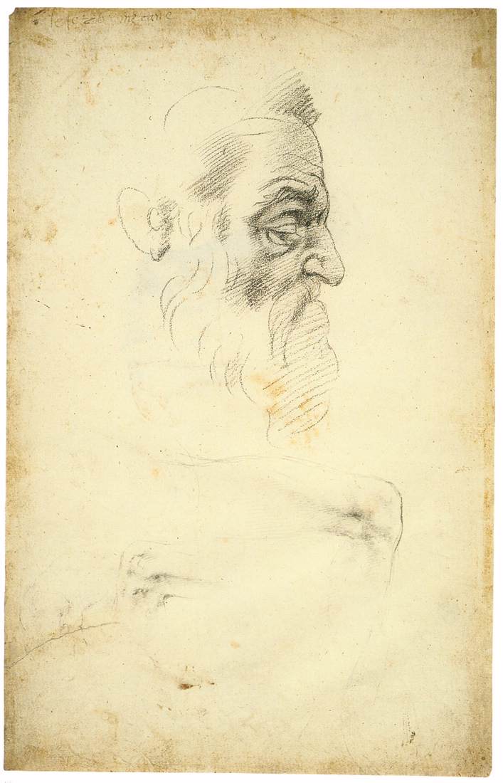 Bearded Head in Profile (recto) by MICHELANGELO Buonarroti