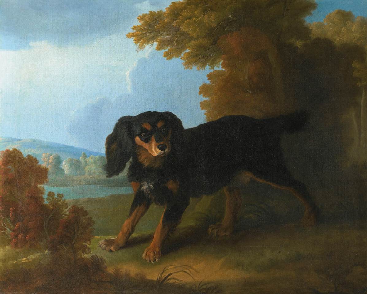 Portrait of Mimi, Madame de Pompadour's King Charles Spaniel by HUET, Christophe